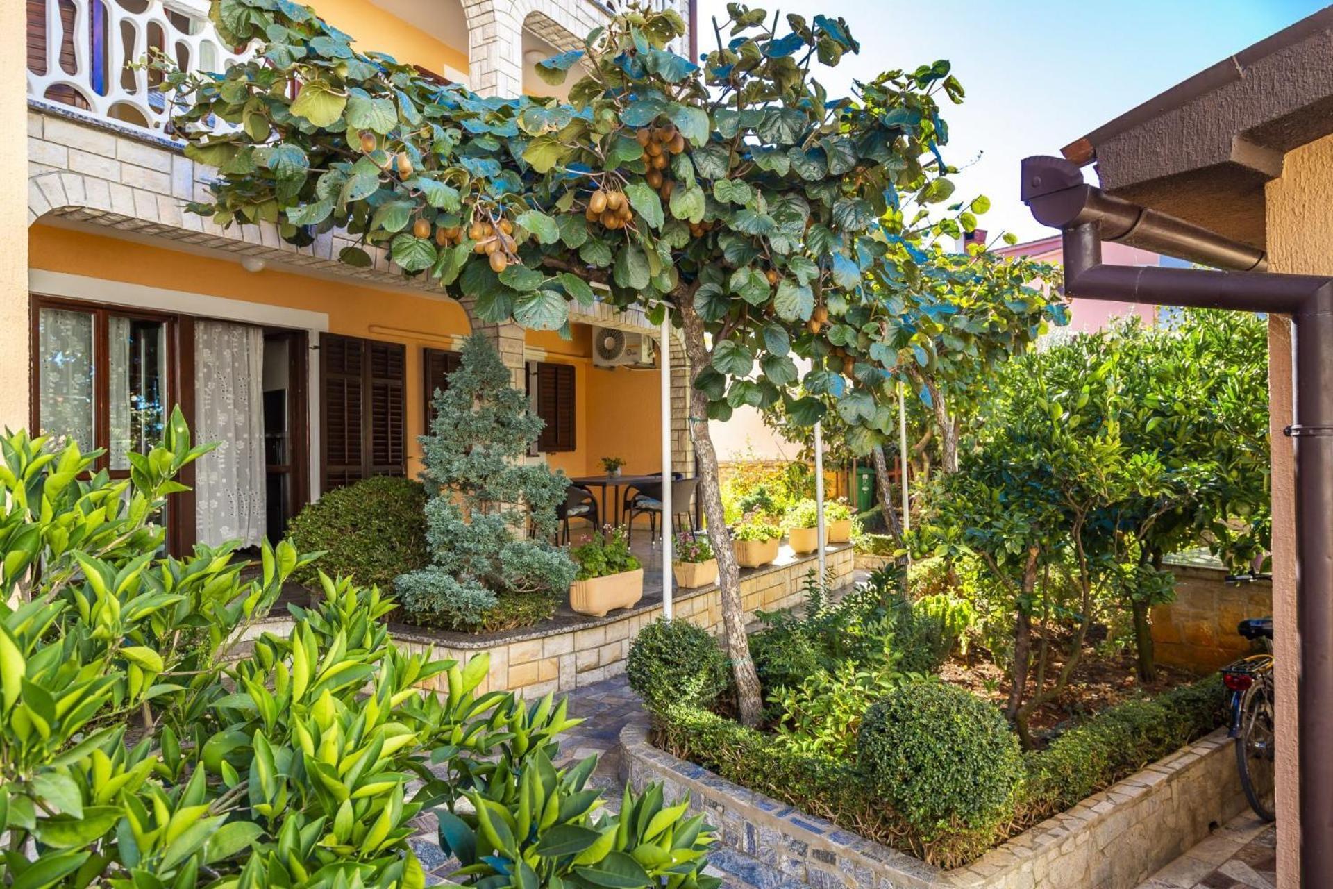 Apartments Mir Fažana Zewnętrze zdjęcie
